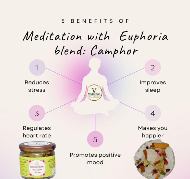 WhatsApp Image 2026-01-12 at 12.58.50 PM