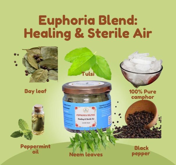 WhatsApp Image 2026-01-12 at 12.58.52 PM